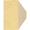 Ekena Millwork 2in. W x 4in. H x 36in. L Asheboro Woodgrain TimberThane Rafter Tail, Primed Tan RFTUR02X04X36ASHRCPR - alternate 6